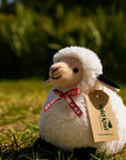 Wild Kiwi Soft Toy - Sheep