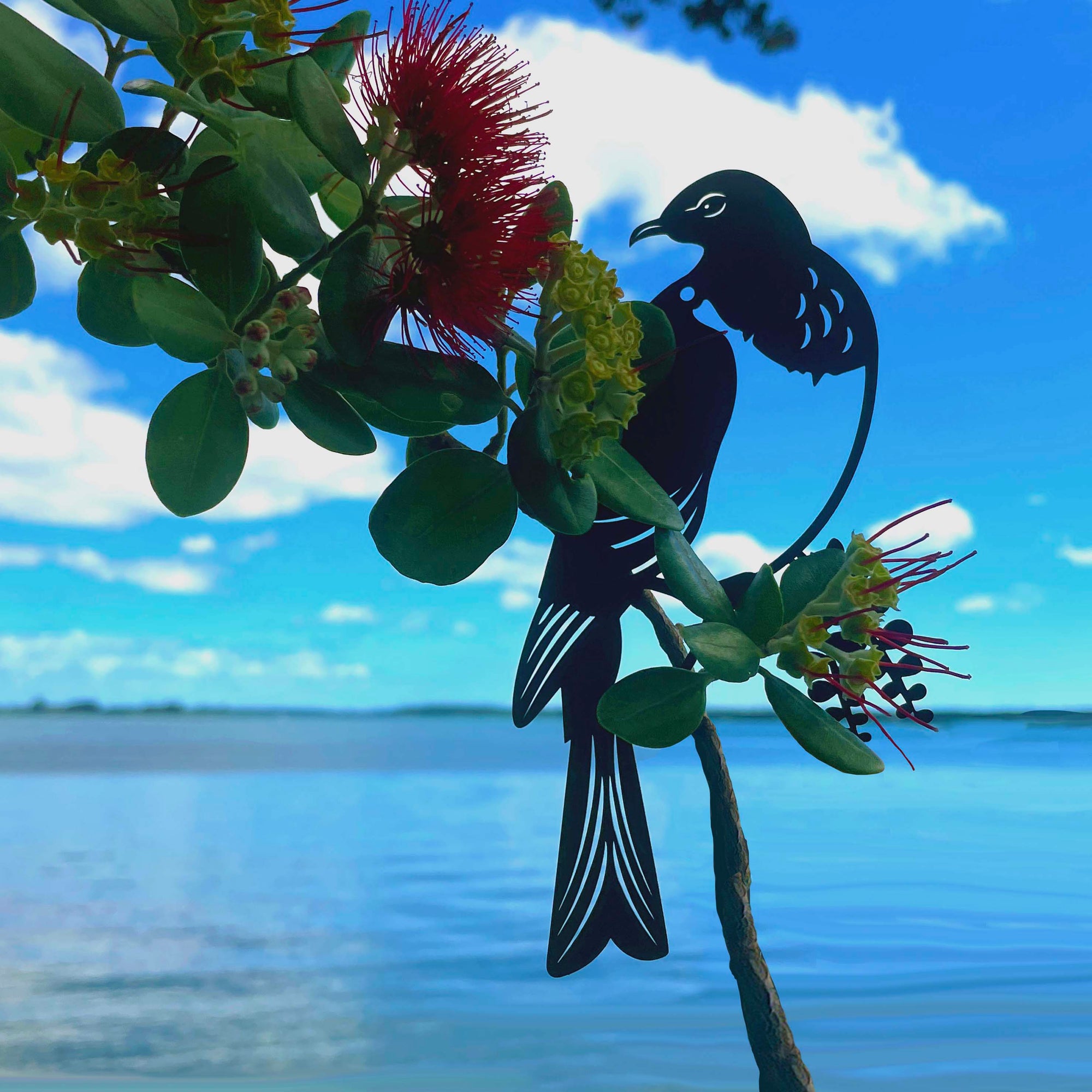 Kereru Metal art gift card NZ inspired