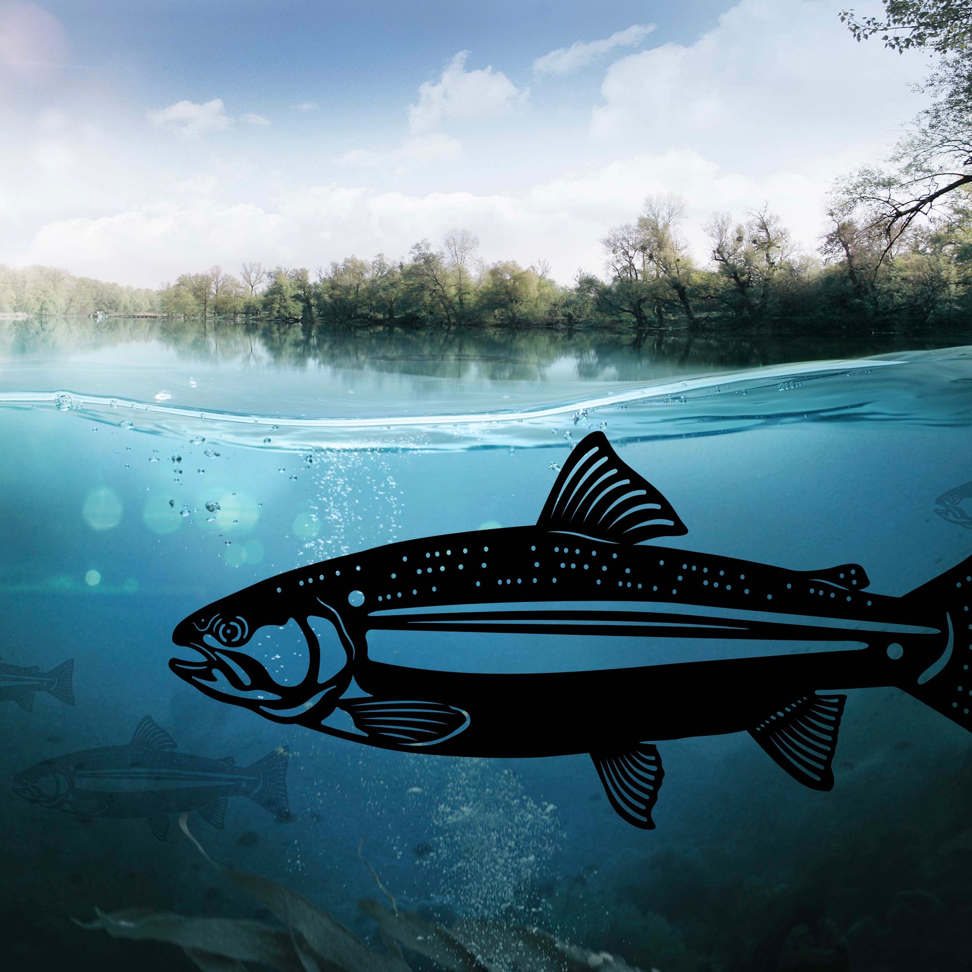 Trout Metal art gift card NZ inspired